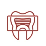 X-Rays